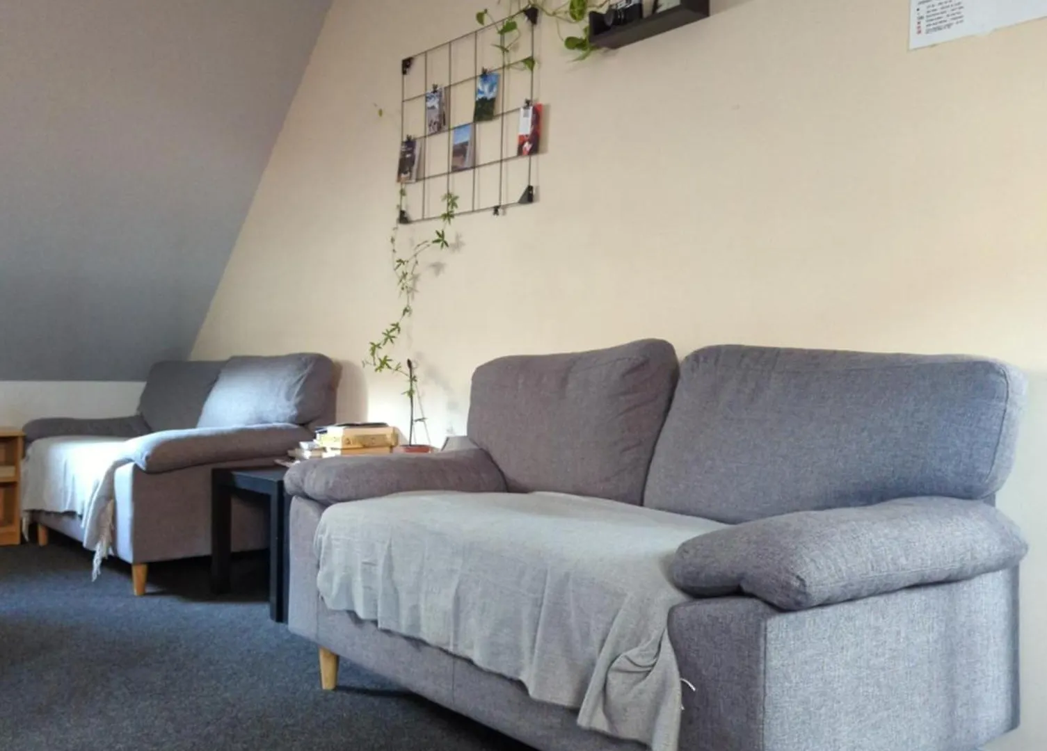 Hostel John Galt Brno 0*,